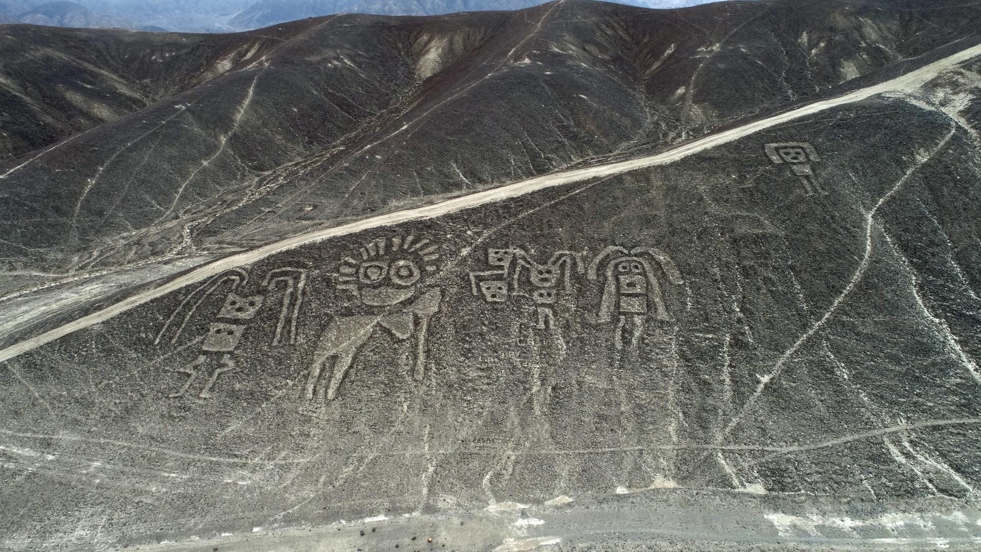 Wissenschaftler haben 50 Geoglyphen entdeckt.