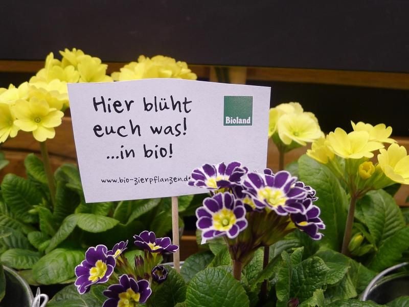 Eine vergleichsweise gut bekannte Orientierung für Blumen, Stauden und Ziergehölze aus Bio-Anbau bieten die Zeichen ökologischer Anbauverbände - zum Beispiel Demeter, Naturland und Bioland. Foto: Bioland/dpa
