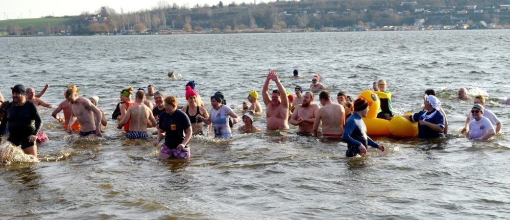 Neujahrsschwimmen in Seeburg: Rund 80 Badelustige trauten sich in den Süßen See.