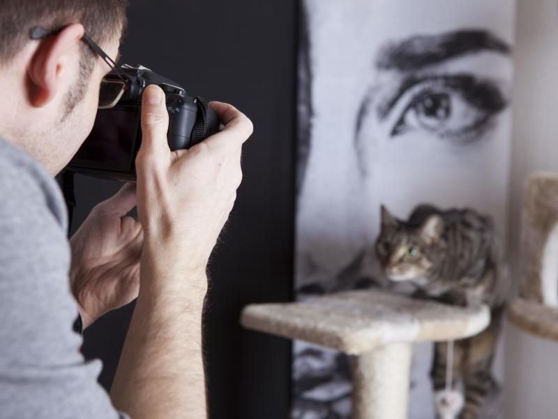 Mit einer App lässt sich die Fotokamera auch zu einer Webcam umfunktionieren. Foto: Silvia Marks/dpa-tmn