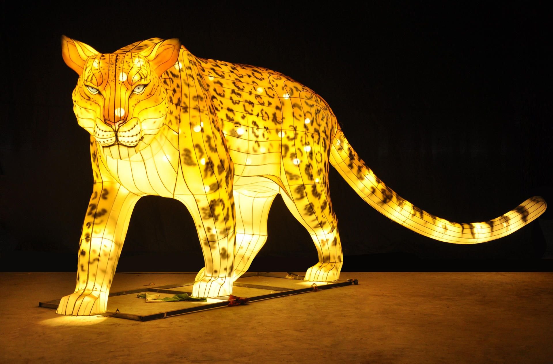 Magische Lichterwelten im Bergzoo Halle
