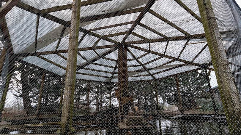 Das Vogel-Freigehege im Tierpark Merseburg wurde als Schutz vor Wildvögeln mit einer 70 Quadratmeter großen Plane überspannt.