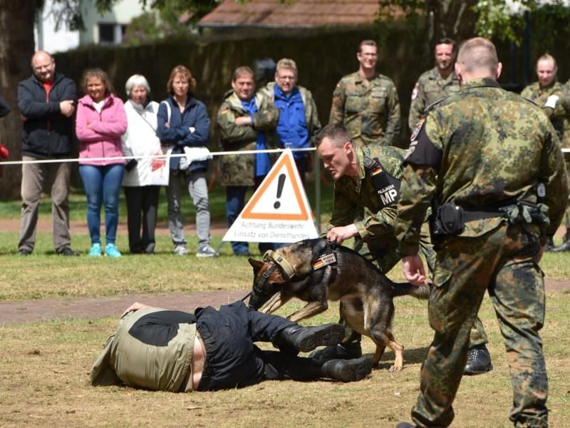 Auf dem Aktionsgelände der Bundeswehr wird während des Hessentages 2015 eine Diensthundeübung gezeigt. Foto: Uwe Zucchi/Archiv