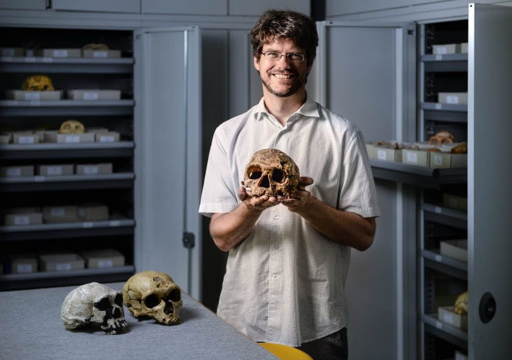Der Paläoanthropologe Philipp Gunz hält die Nachbildung eines Schädels von einem frühen Menschen in den Händen.