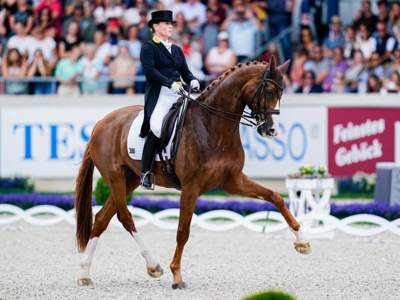 Dressurreiterin Isabell Werth auf ihrem Pferd Bella Rose. Foto: Uwe Anspach