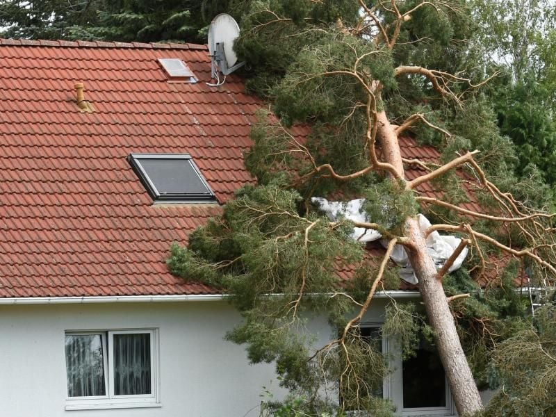 Baumfall bei Unwetter: Eigentümer müssen dafür sorgen, dass durch ihr Eigentum kein Schaden entsteht. Foto: Hendrik Schmidt/