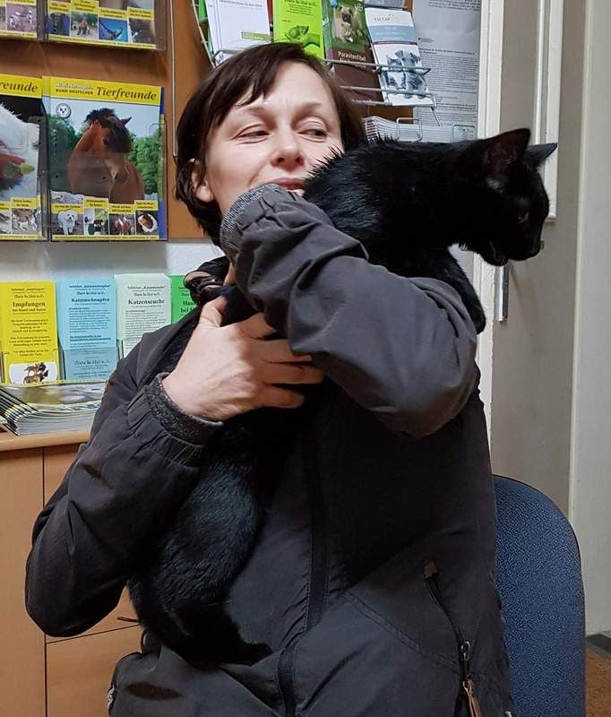 Kater Pelle und Halterin Annett Hesse verbindet eine besondere Beziehung. Das machte das Wiedersehen noch emotionaler.