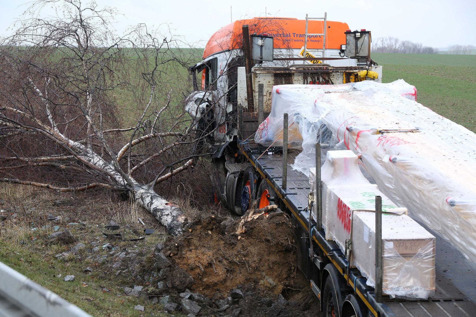 Der Sattelzug fuhr von der A14 in den Straßengraben und entwurzelte einen Baum.
