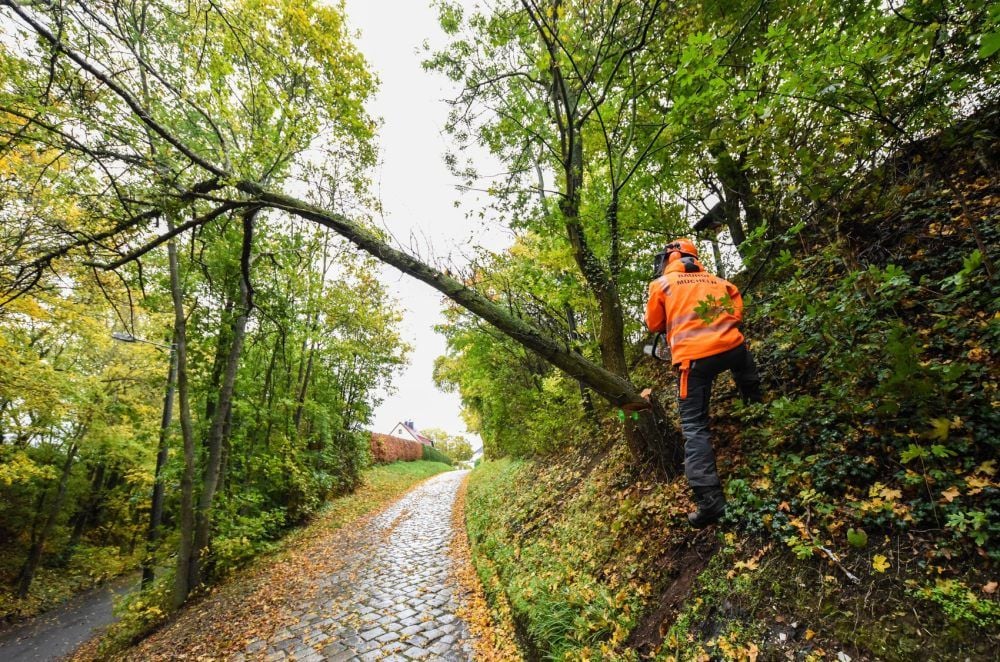 Nur einer von vielen: Danny Zanner vom Bauhhof Mücheln fällt einen toten Baum an der Straße „Rennbahn“.