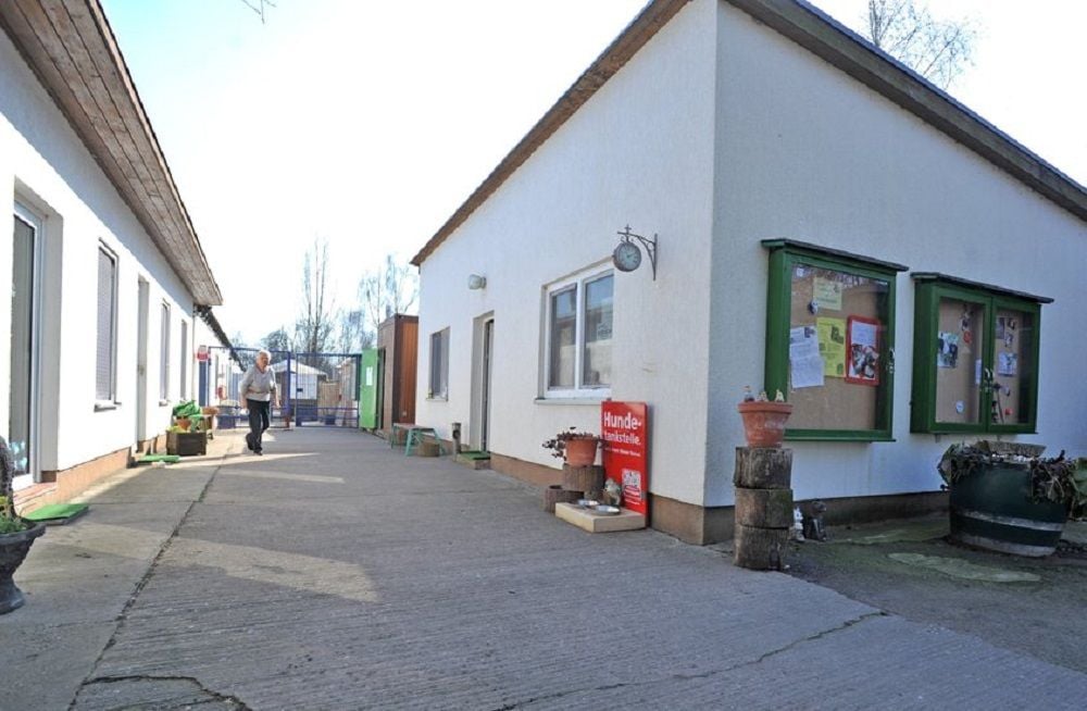 Das Tierheim Bitterfeld kommt ins Fernsehen
