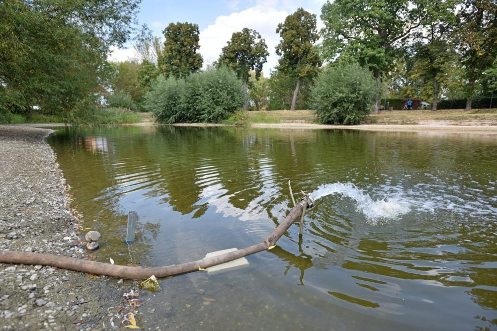 Über einen Schlauch fließt das kalte und dadurch sauerstoffreiche Trinkwasser vom Hydranten zum Teich.