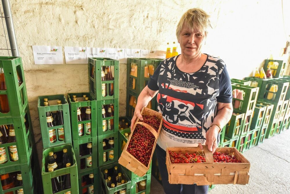 Gisela Buschmann (75) aus Wallendorf gibt seit zwei Jahren ihre gepflückten Johannisbeeren aus dem heimischen Garten in der Annahmestelle Beuna der Jaro Fruchtverwertung GmbH ab, um im Gegenzug leckeren Saft zu erhalten.