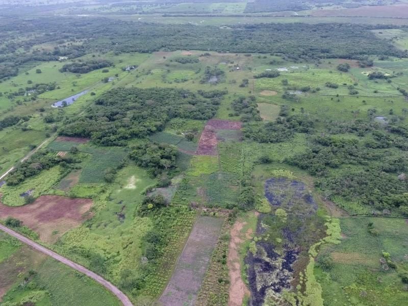 Luftaufnahme von Aguada Fénix mit Dämmen und Stauseen vorne und dem Hauptplateau hinten. Im Süden von Mexiko haben Archäologen die älteste und gleichzeitig größte bisher bekannte Monumentalanlage der Maya entdeckt. Foto: Takeshi Inomata/University of Arizona/dpa