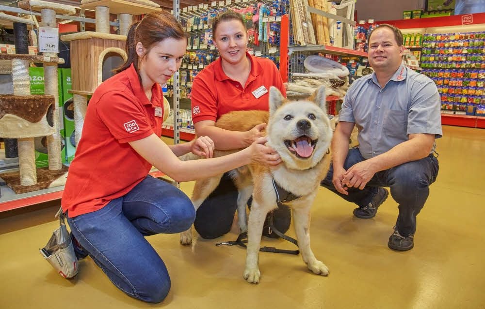 Eileen Briege (links) und Christiane Peglow, Mitarbeiterinnen der Filiale am Güstener Stammsitz, verpassen unter den Augen von Geschäftsführer Norman Nicolaus dem Hund einer Kundin ein neues Geschirr.