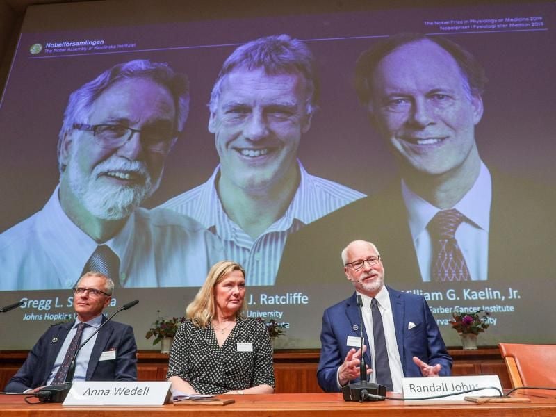 Das Nobelkomitee in Stockholm präsentiert die Medizin-Nobelpreisträger: Gregg Semenza (auf Leinwand l-r), Peter Ratcliffe und William Kaelin. Foto: Zheng Huansong/XinHua/dpa