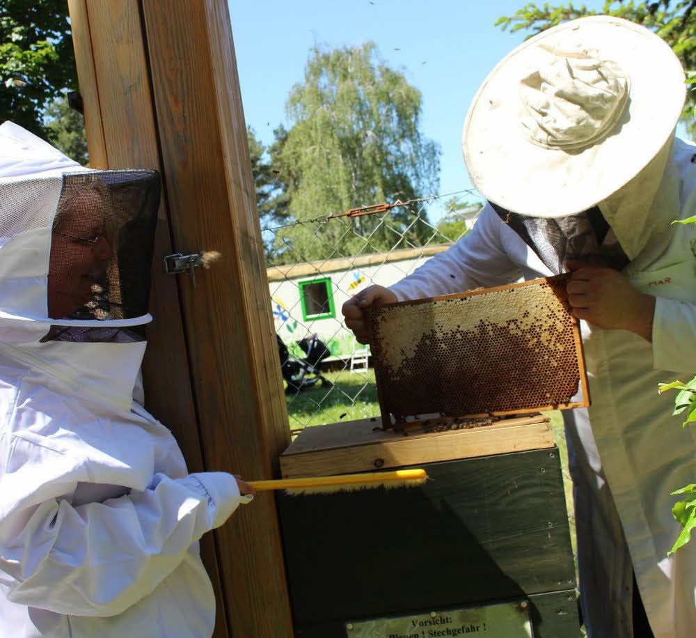 Theorie ist eine Seite, Praxis die andere. Beim Heide-Imker-Tag sind Steffi Heinrich und Robert Klauck am so genannten Bee-Pass – einem etwas anderen Bienenstock – im Einsatz.