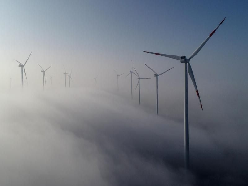 Windräder im Windenergiepark „Odervorland” im Landkreis Oder-Spree. Foto: Patrick Pleul