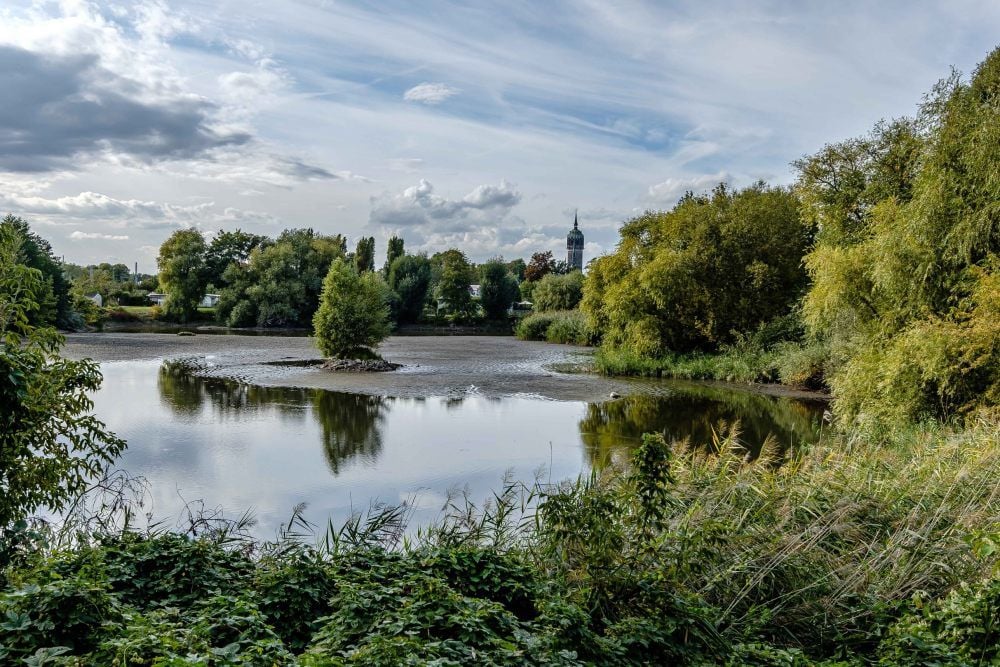 Einbezogen werden sollen in die Planungen zur Bewerbung für die Landesgartenschau unter anderem Altstadt und Wallanlagen - zum Beispiel der Kleingartenpark „Am Stadtgraben“.