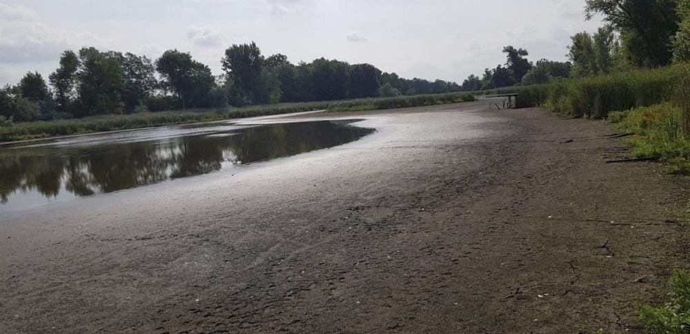 Vom einst stattlichen Großen Parkteich in Trebbichau/Micheln ist nur mehr ein schäbiger Rest übriggeblieben. Und viel Schlamm.