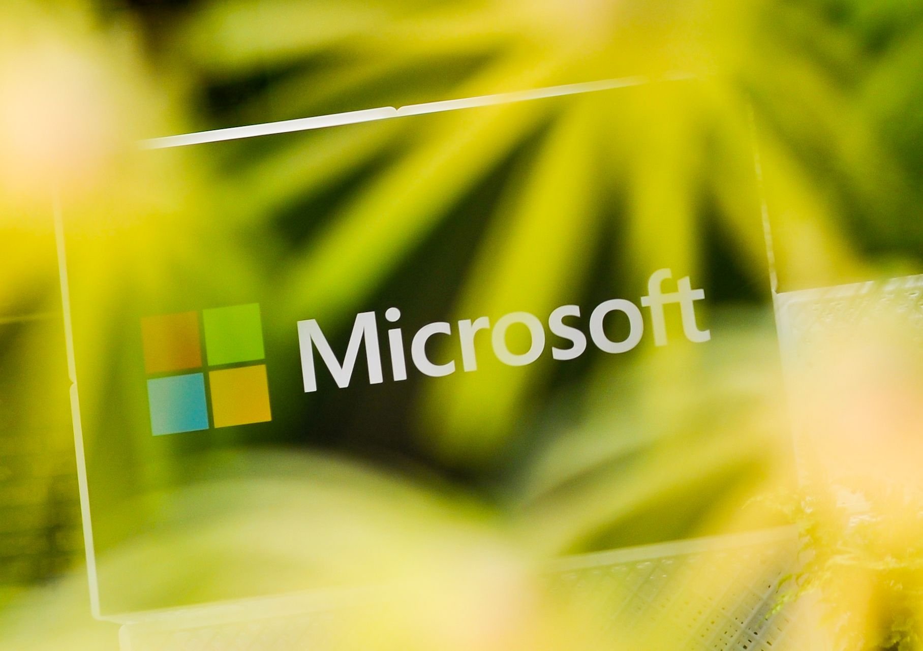 Microsoft warnt vor einer Sicherheitslücke in seinem Betriebssystem Windows.