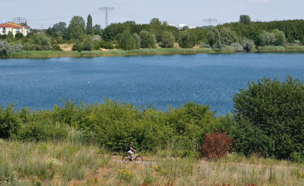 Im Hufeisensee befinden sich zwischen vier und sechs Millionen Kubikmeter Wasser. Zwei Prozent der Jahresmenge wird vom Golfpark entnommen.