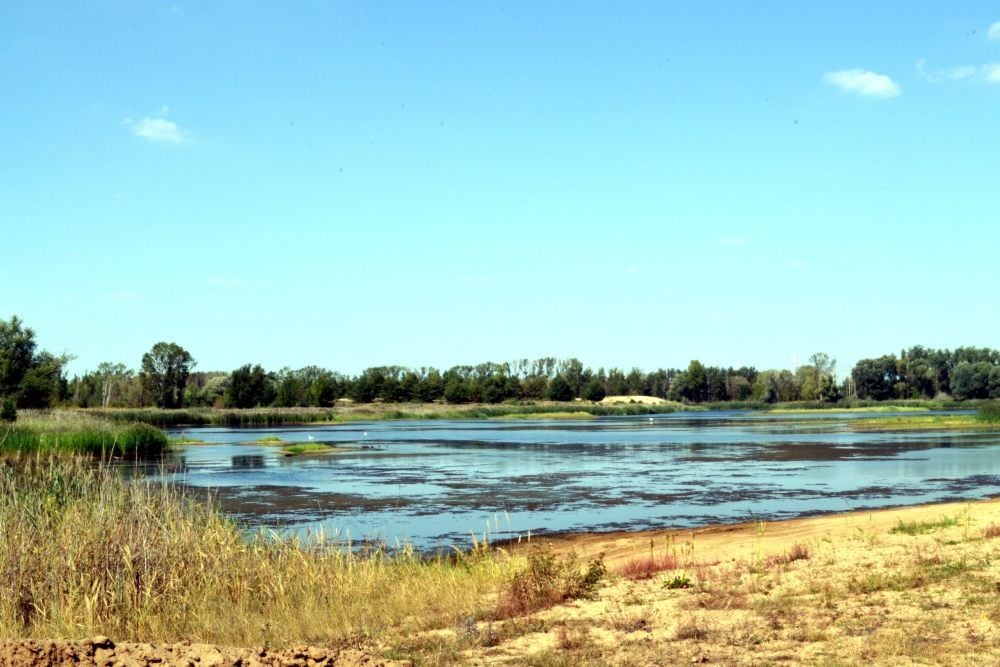 Um circa vier Hektar hat sich der Badesee in Prettin verkleinert. Mehrere Inseln erheben sich aus dem Wasser und dienen als Brutstätte für Vögel. Badegäste sind von den Wasserpflanzen jedoch weitestgehend abgeschreckt.