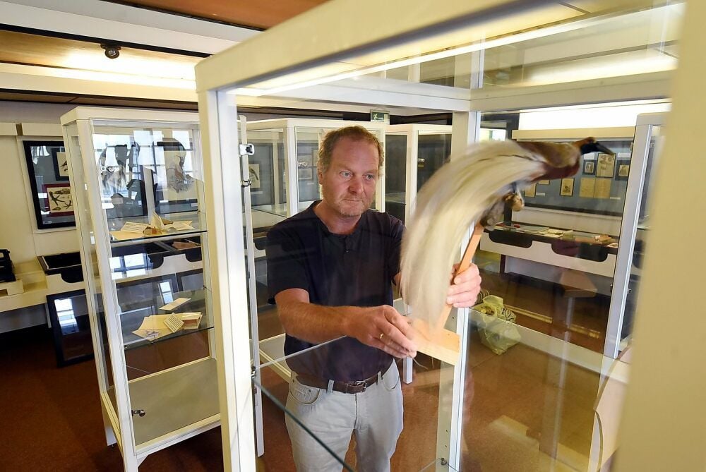 Am Montag hat Bernhard Just die ersten Exponate (hier einen Paradiesvogel) aus den Vitrinen des neuen Teils des Museums geholt.