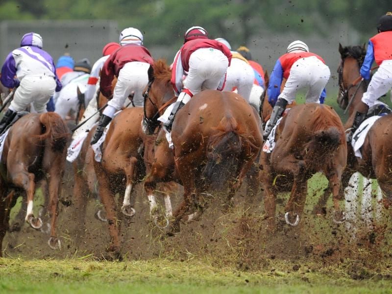 Auf der Rennbahn in Hamburg-Horn wird an drei Tagen vom 10. bis 12. Juli das Deutsche Galopp-Derby abgehalten. Foto: Marcus Brandt/dpa