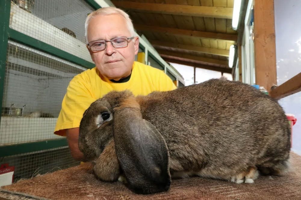 Albrecht Tröster mit einem Deutschen Widder. Diese Rasse züchtet er jetzt wieder.