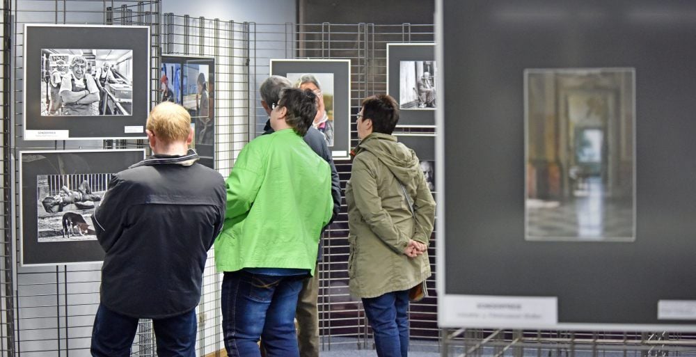 Ab 30. November sind die „100 besten Bilder des Jahres in Wolfen.
