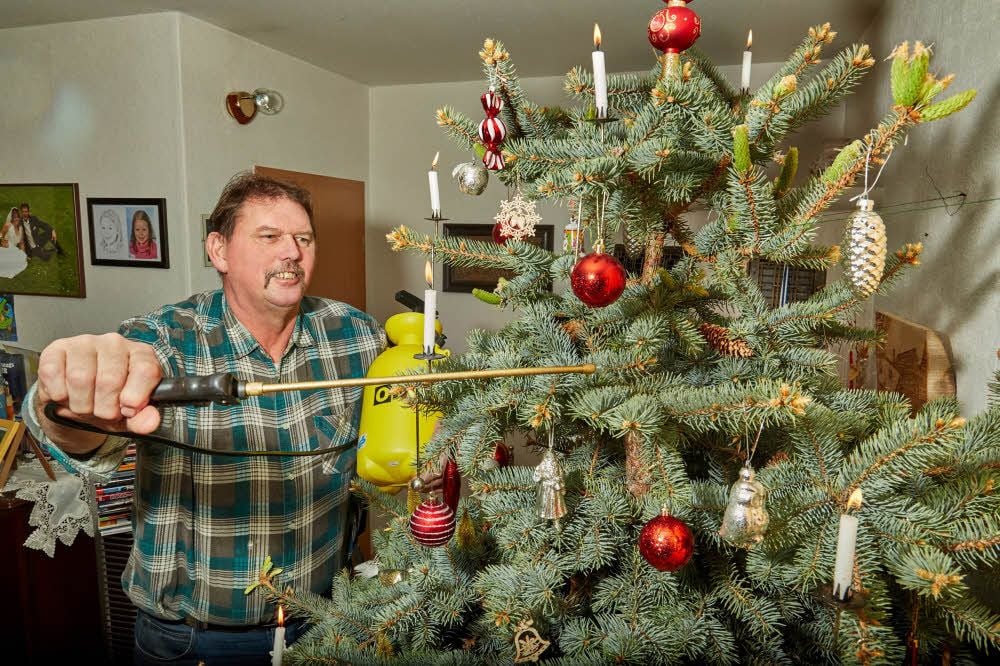 Das ist wahre Liebe: Bernd Hentscher besprüht seinen Weihnachtsbaum mit Wasser, damit er lange frisch bleibt.