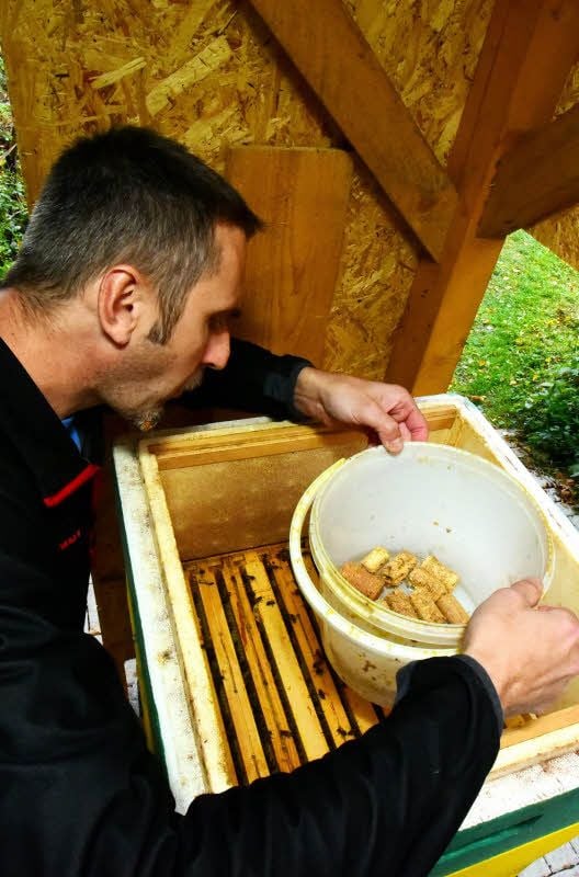 Schon jetzt füttert Sven Hellriegel seinen über Frühling und Sommer fleißigen Bienen zu. Die Korken im Eimer verhindern, dass sie ertrinken.