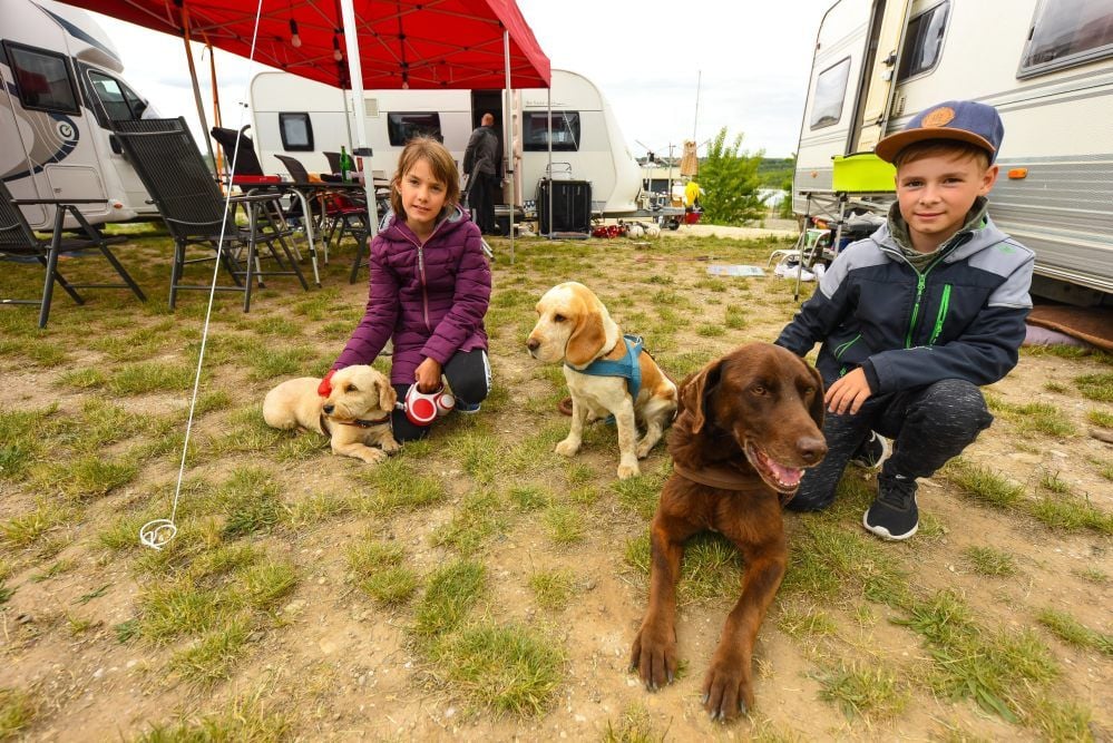 Tamara und Matheo gehen mit den Hunden spazieren. Sie kennen sich im Geiseltal schon aus.