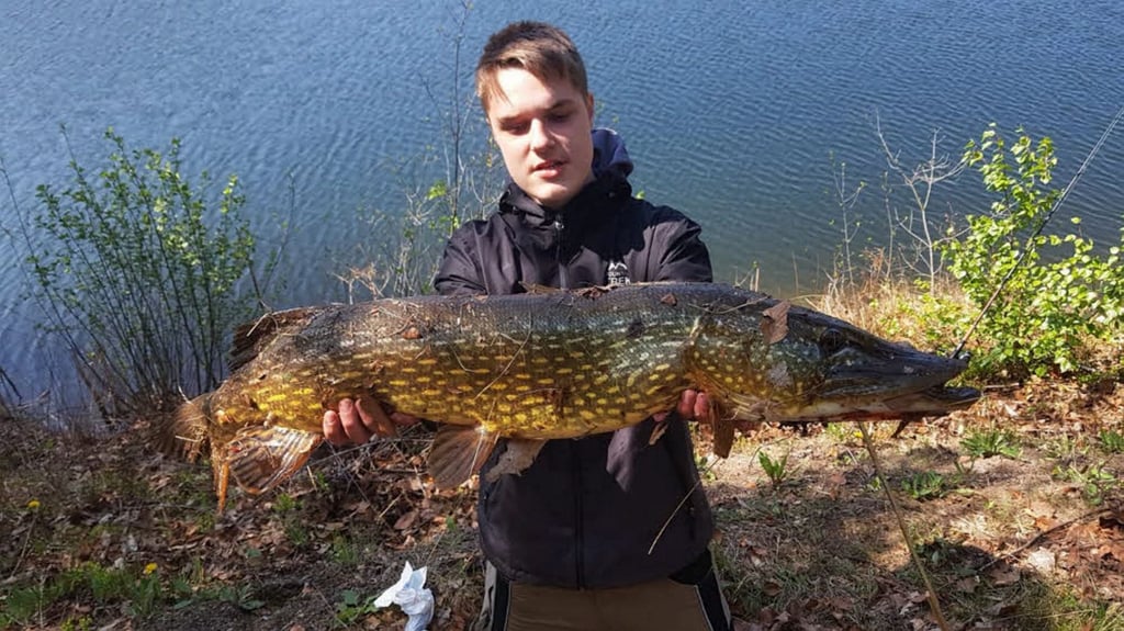 Anglerglück Neuer Teich bei Gernrode 14jährige Sebastian Thiele