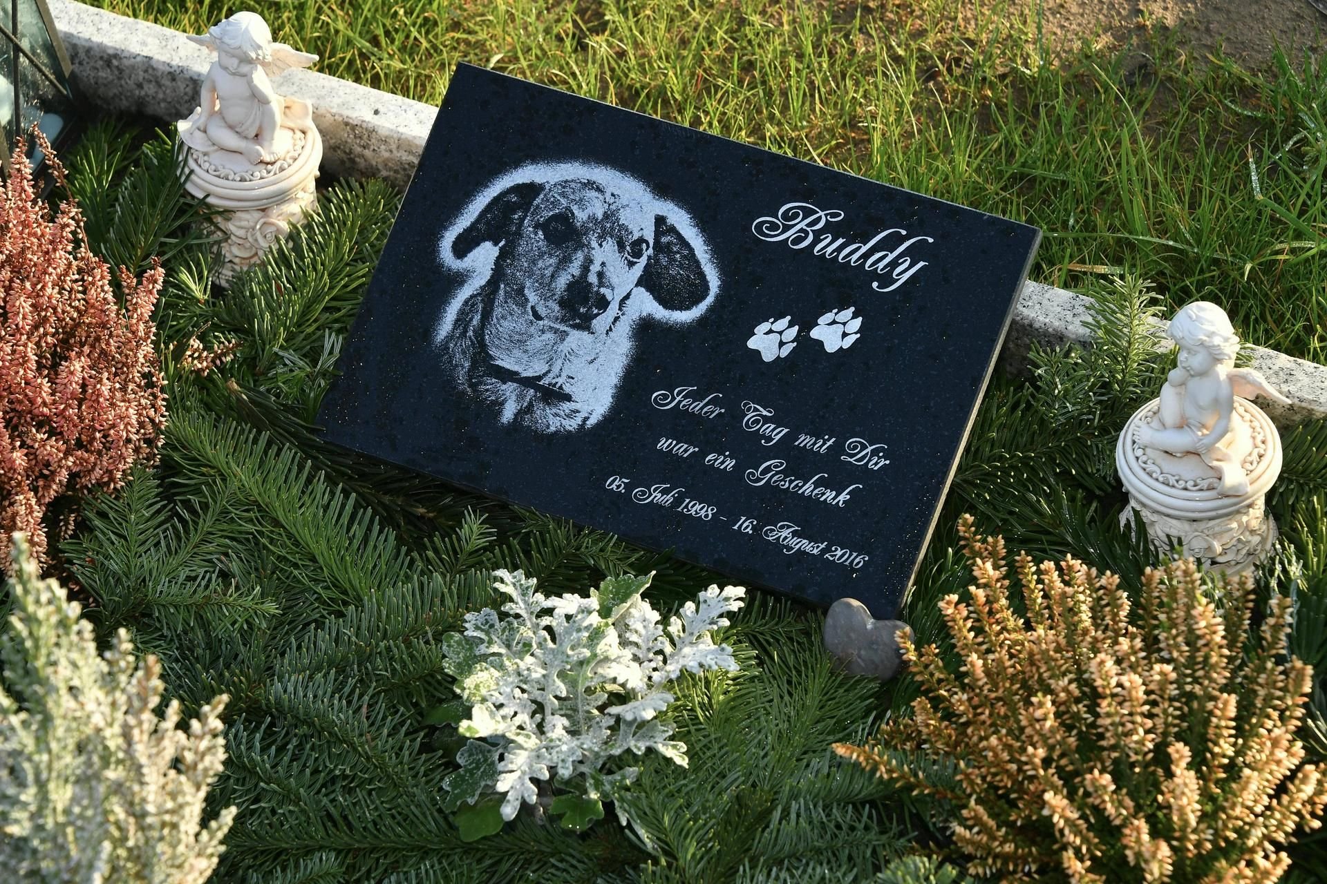 Das Grab eines Hundes auf einem Tierfriedhof: Magdeburg will ein Grabfeld für sogenannte Mensch-Tier-Bestattungen einrichten.
