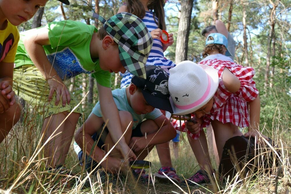 Während der Schnitzeljagd folgen die Kinder den Straßen der Ameisen. An jedem Ballon gab es außerdem Fragen zur Natur von den Mitarbeitern des Waldhauses.