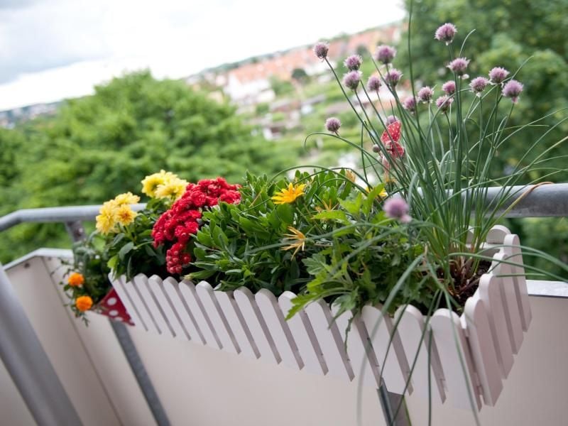 Mieter dürfen ihren Balkon nach ihrem Geschmack begrünen, solange sie andere nicht stören oder gefährden. Foto: Andrea Warnecke/dpa-tmn