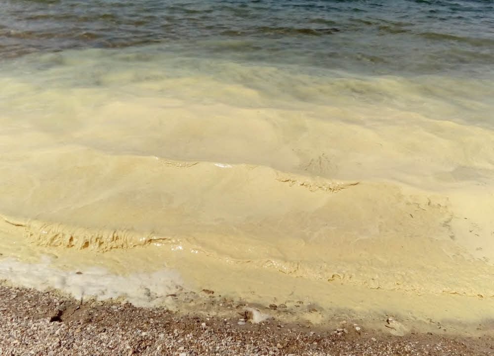 Das Wasser am Zugang Braunsdorf war völlig verfärbt.