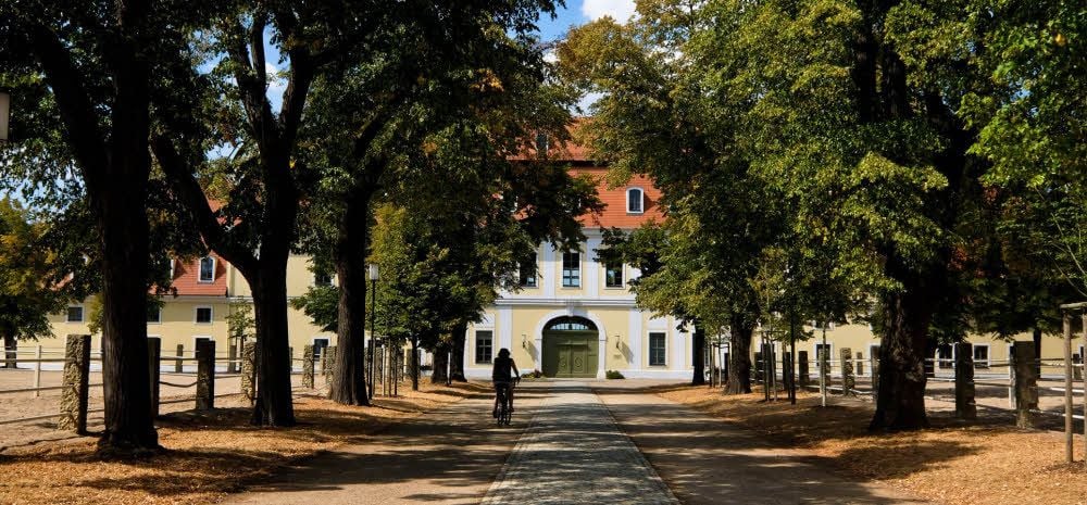 Idyllischer Rahmen: Der Hof des Gestüts mit einem Schloss im Hintergrund