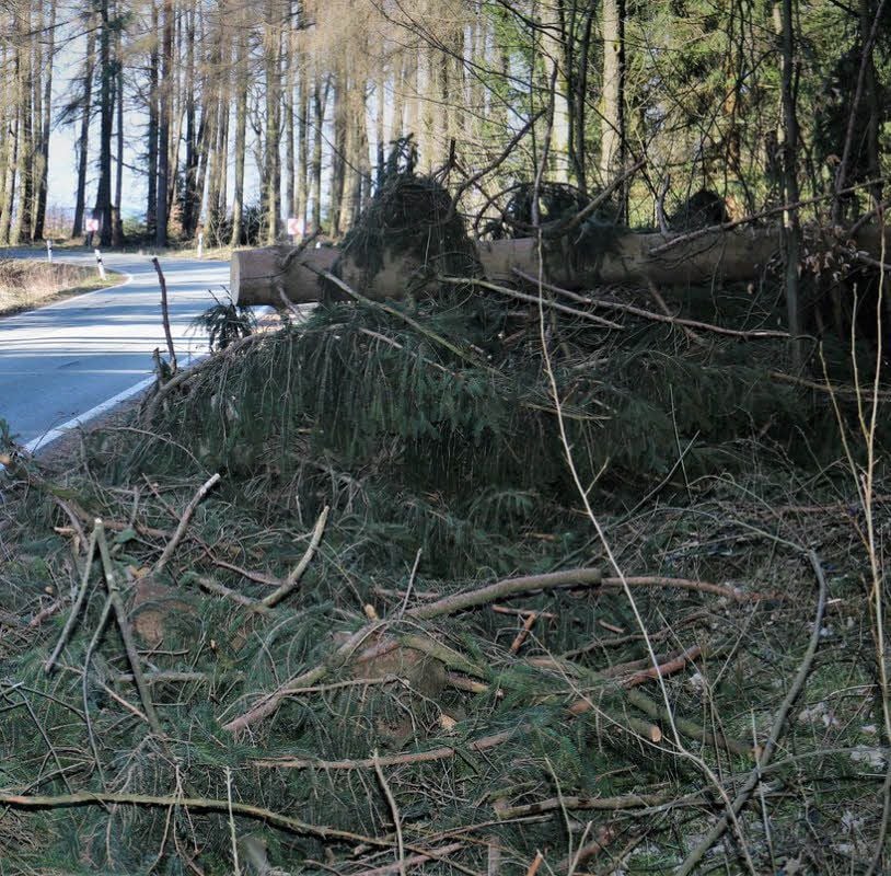 Noch immer findet sich Windbruch an den Straßen im Südharz.