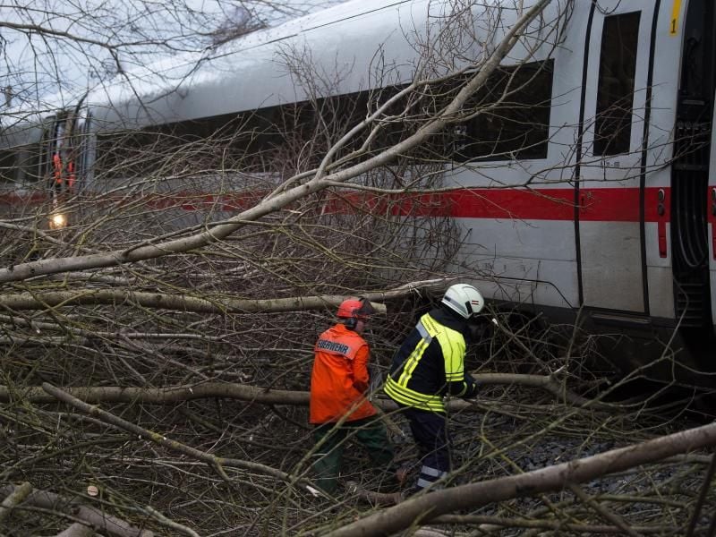 Bäume und Äste liegen im Januar auf einer ICE-Trasse. Orkantief „Friederike” hatte zugeschlagen. Foto: Swen Pförtner
