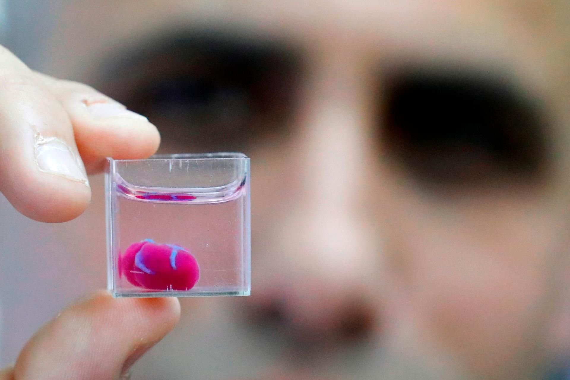 Das Gewebe stimmt, nur die Größe noch nicht: ein menschliches Herz aus dem 3D-Drucker