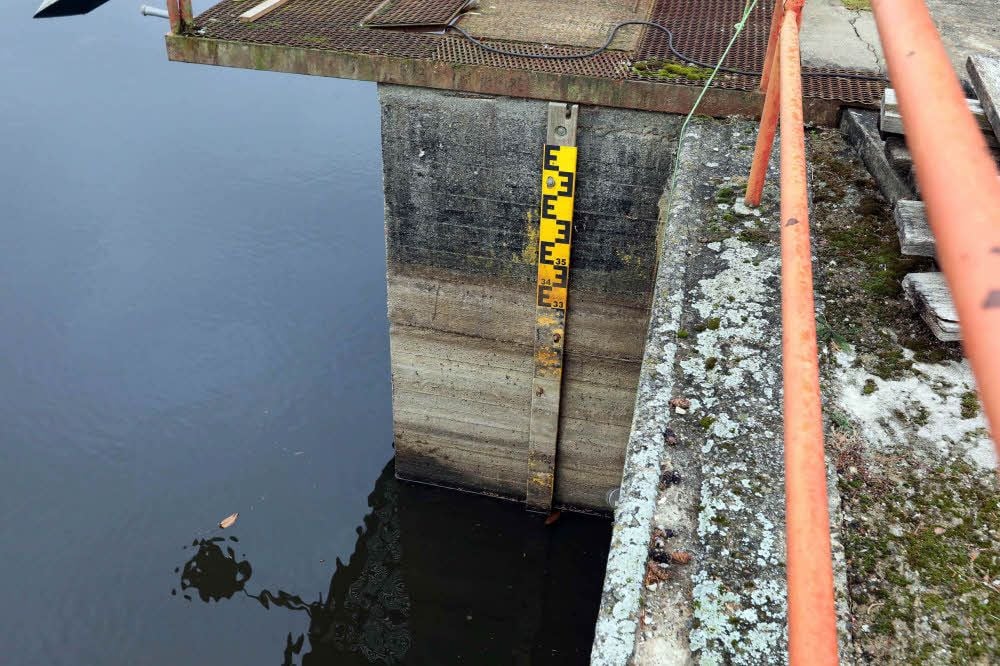 Gut 1,50 Meter Höhe hat der Wasserstand im Teich im Sommer verloren.