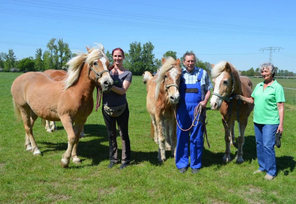 Cynthia Beyer (li.) mit Stute Daisy, Klaus-Jürgen Alte mit Frikka und Gabriele Alte mit Lisa