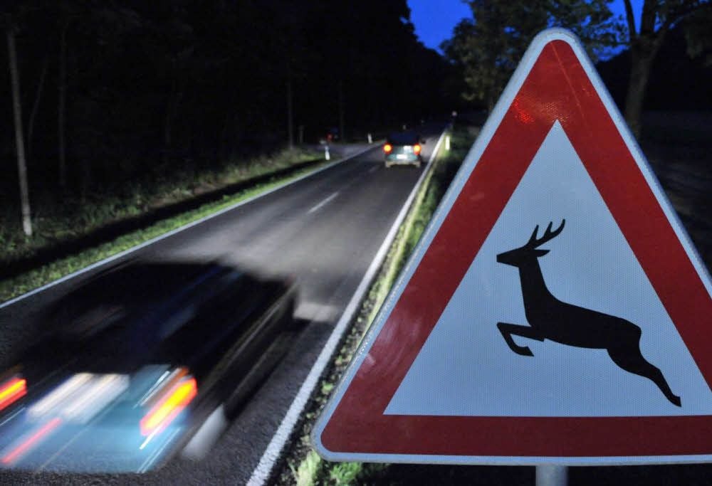 Autofahrer sollten Warnschildern die nötige Aufmerksamkeit schenken - schnell kommt es zu einem Unfall, weil Tiere die Geschwindigkeit eines Autos nicht abschätzen können.