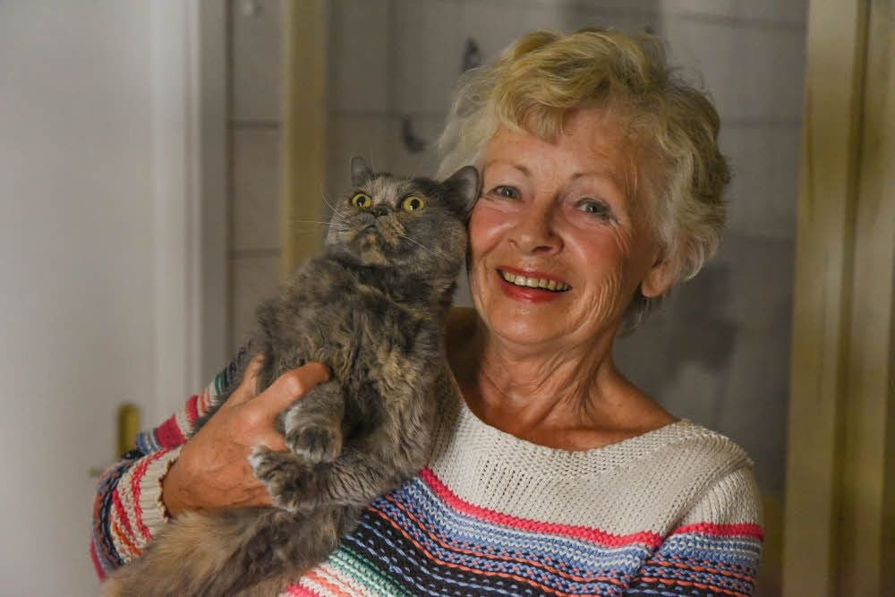 Zu den Sorgenkindern von Tierhof-Chefin Ilona Zocher gehört auch die neun Jahre alte Rassekatze Fancy.