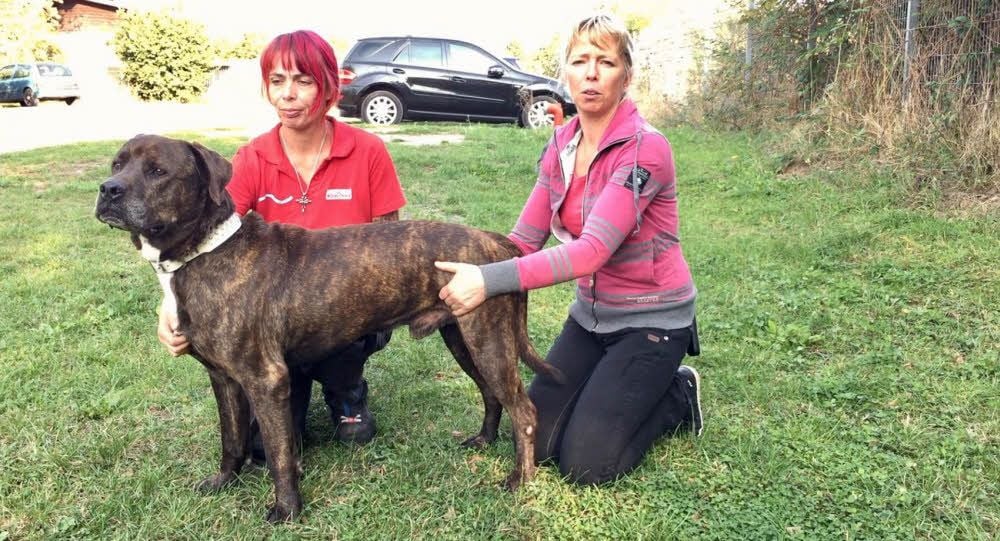 Vanadis Donath (l.) und Heimleiterin Astrid Finger haben Arko ins Herz geschlossen.