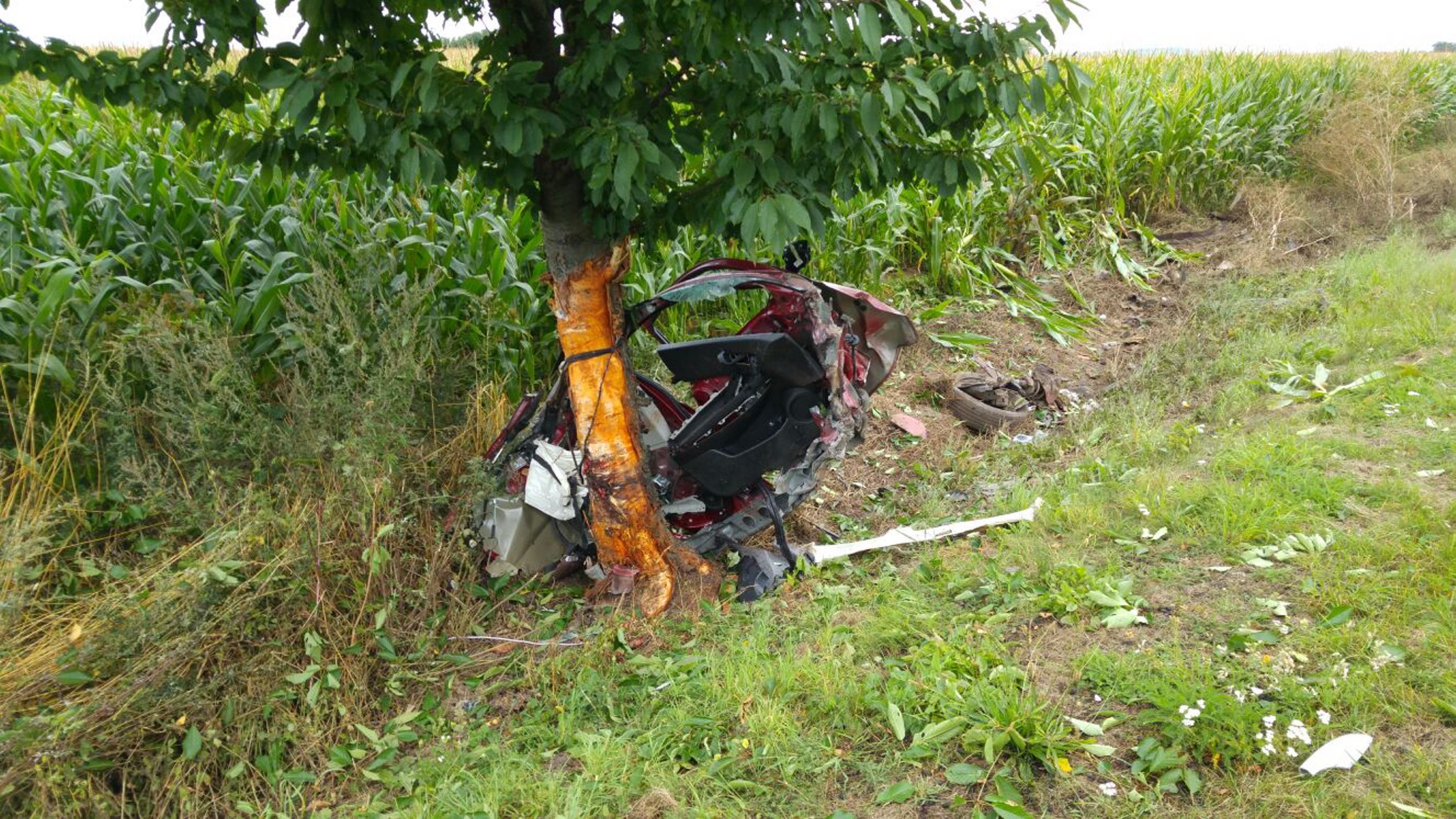 Blick auf die Unfallstelle auf der L151
