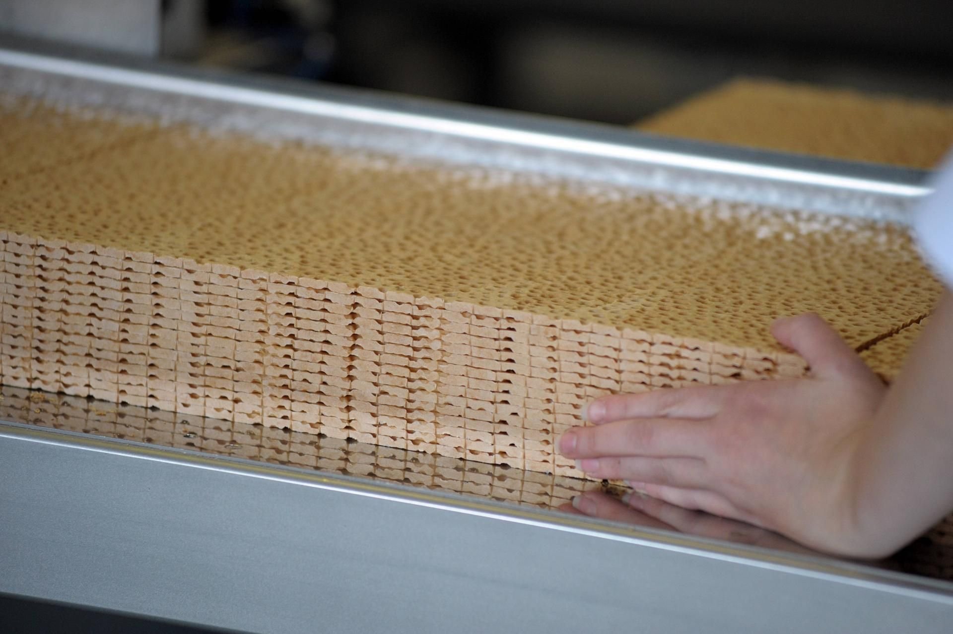 Produktion von Filinchen