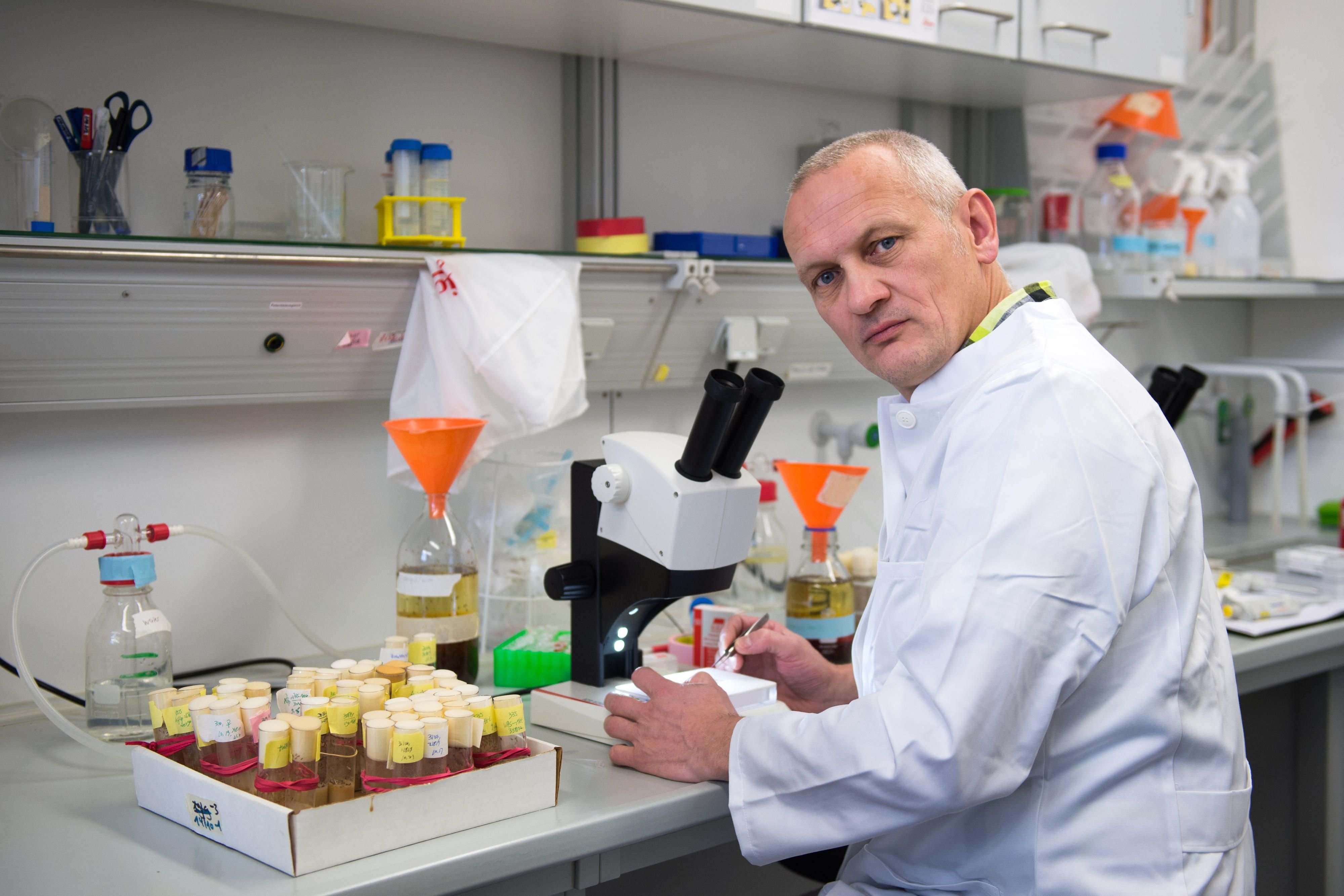 Klaus Reinhardt vom Biologischen Institut der Technischen Universität Dresden, untersucht das Liebesleben von Bettwanzen.